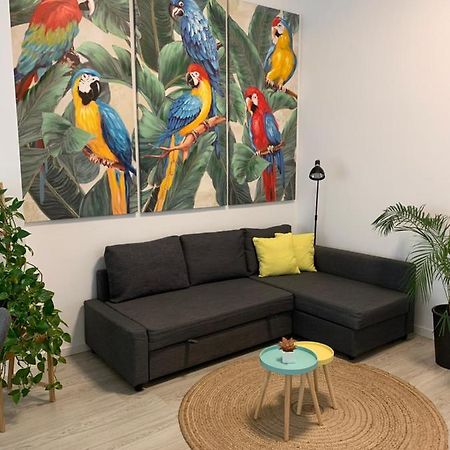 Апартаменти Casa Papagayo Санта-Крус-де-Тенеріфе Екстер'єр фото