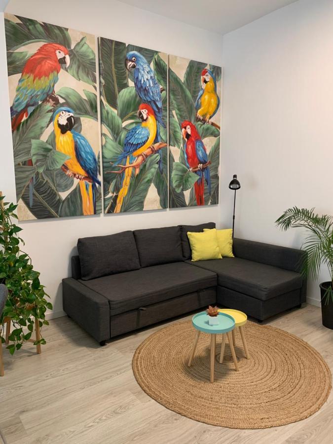Апартаменти Casa Papagayo Санта-Крус-де-Тенеріфе Екстер'єр фото